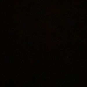 Meet your Posher, Layton